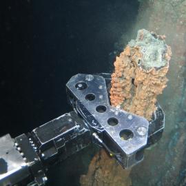 Norvège, exploitation marine